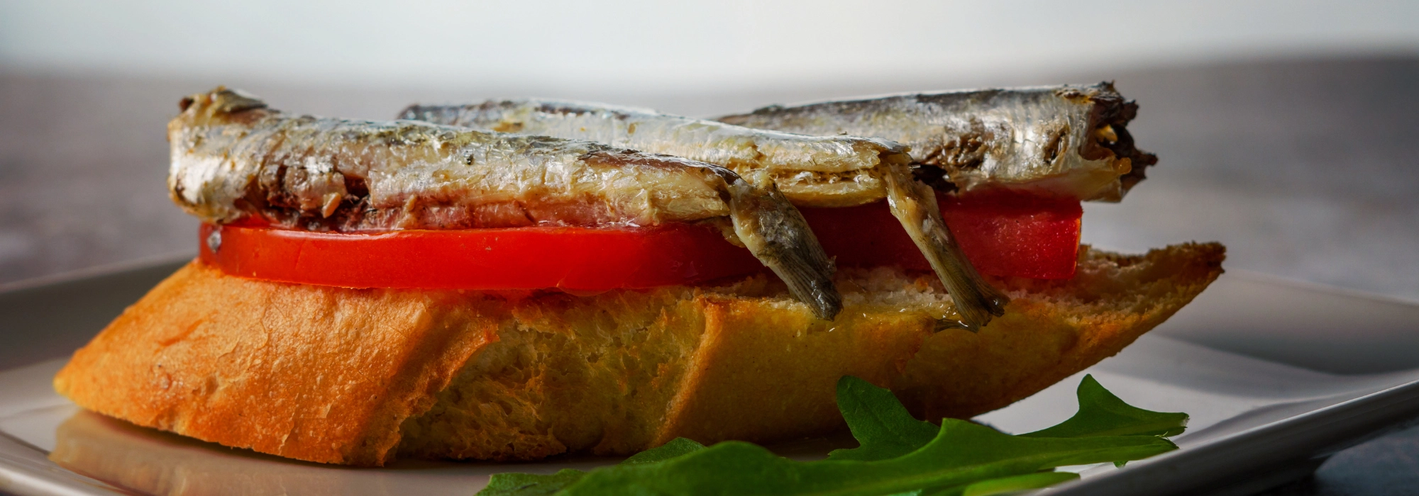 ταξίδι με μοτοσυκλέτα στα Πυρηναία